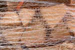 pallet net hout