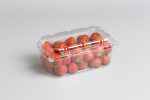 Berries 15508 Plastic Tray Punnet Clamshell NNZ