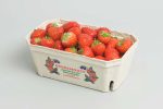Aardbeien verpakking