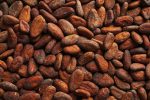 Cacao verpakking