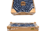 Kælt Gouden Noot Blueberries